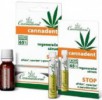 Регенирирующая сыворотка Cannaderm Cannadent Dental Serum 10x1,2мл 8594059736468