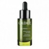 Сыворотка Caudalie Polyphenol С15 глубокого действия защита от появления морщин и преждевременного старения 30 мл 3522930001669