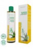Нежный шампунь для частого использования Bioearth The Beauty Seed Delicate Shampoo 250 мл 8029182000013