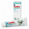 Мятный охлаждающий бальзам Геволь Фусскрафт Gehwol Fusskraft Mint 75 мл 1*10405